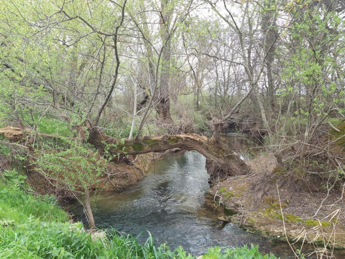 Georgia'S Village House Kondostavlos 外观 照片