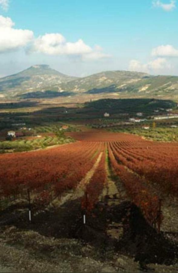 Georgia'S Village House Kondostavlos 外观 照片